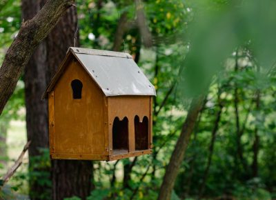 vladimira-slyusarenko-DYg3qGlr1ZE-unsplash